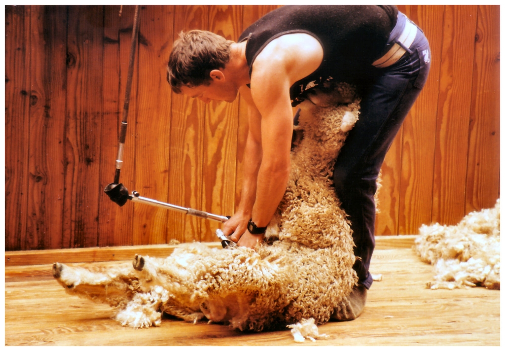 06 - New-Zealand (8).jpg